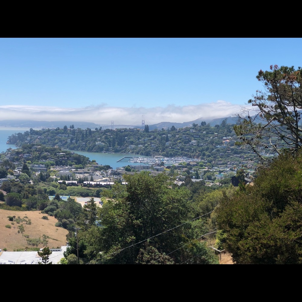 Meet your Posher, Sherry